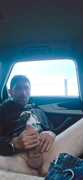 In Public, in the Car