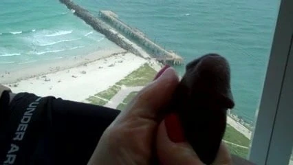 fun in mia