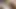 Talula mit dicken möpsen verhandelt mit Immobilienmakler