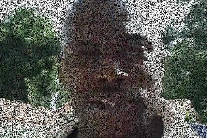 The Big Black Cock of Lexington Steele for a Hot Wild Bitch in Heat!