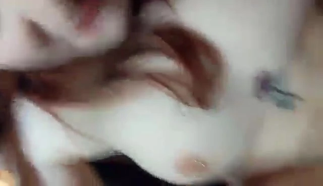 Cucks girl Belle getting a creampie!