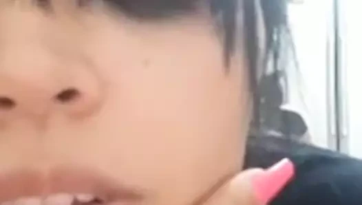 15956216