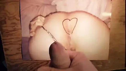 kittypawg için haraç