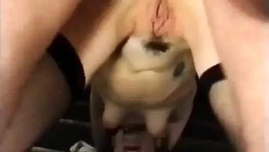 A Cook Is Cut by Her Customers in the Kitchen.