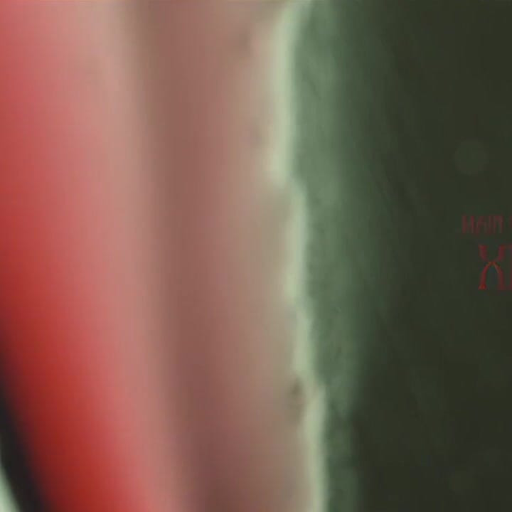 Film de plaisir exquis