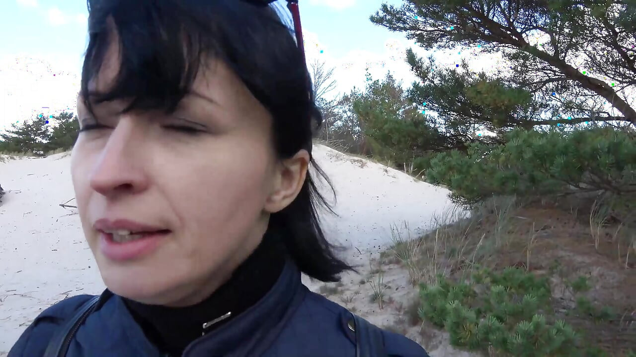 شبك على الكثبان الرملية