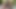 1つの大きな女性と1つの小さな女性が三人組で犯さ