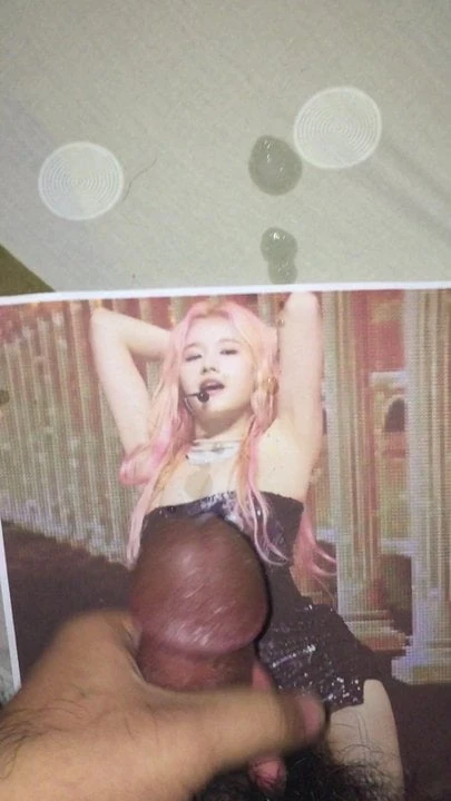 sana cum tribute round 1