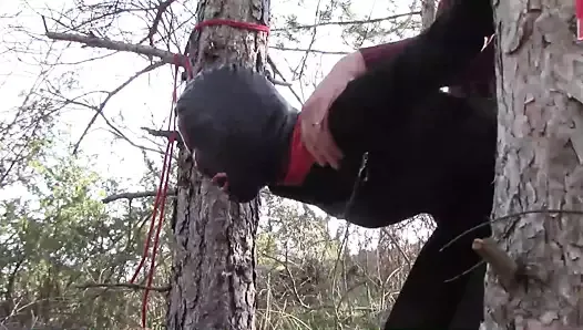 Tied up to a tree outdoors in sexy clothes and fucked hard