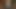 Quick orgasm