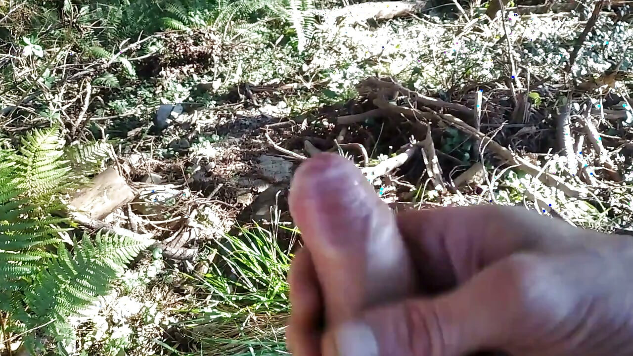 Starý muž s obrovským ptákem vyšel na výlet a stříkal