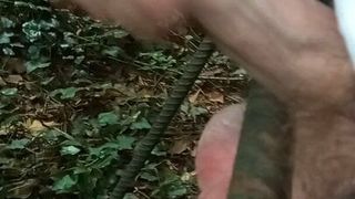 Couilles coincées dans la forêt et sperme