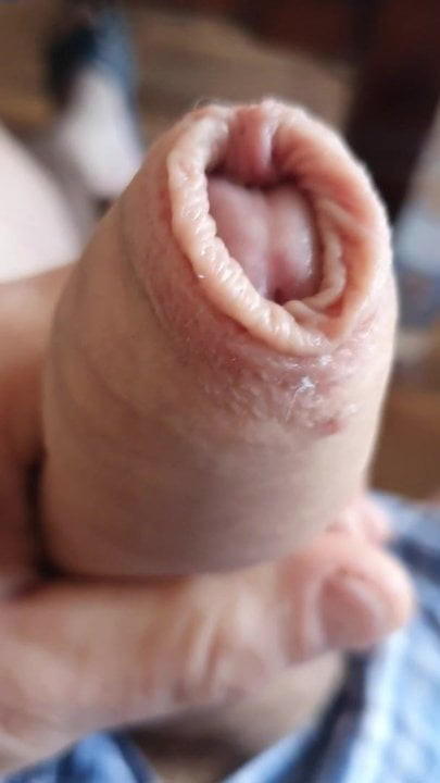 Cock