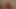 HORRORPORN – Demonic Beauty