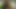 Horoz emme civciv gets kremalı içinde pov sonra ağız masaj çük