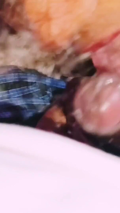 Edepsiz koca güzel seksi karısını sikiyor, Hintli çift, Telugu edepsizce konuşuyor. | Klip 1