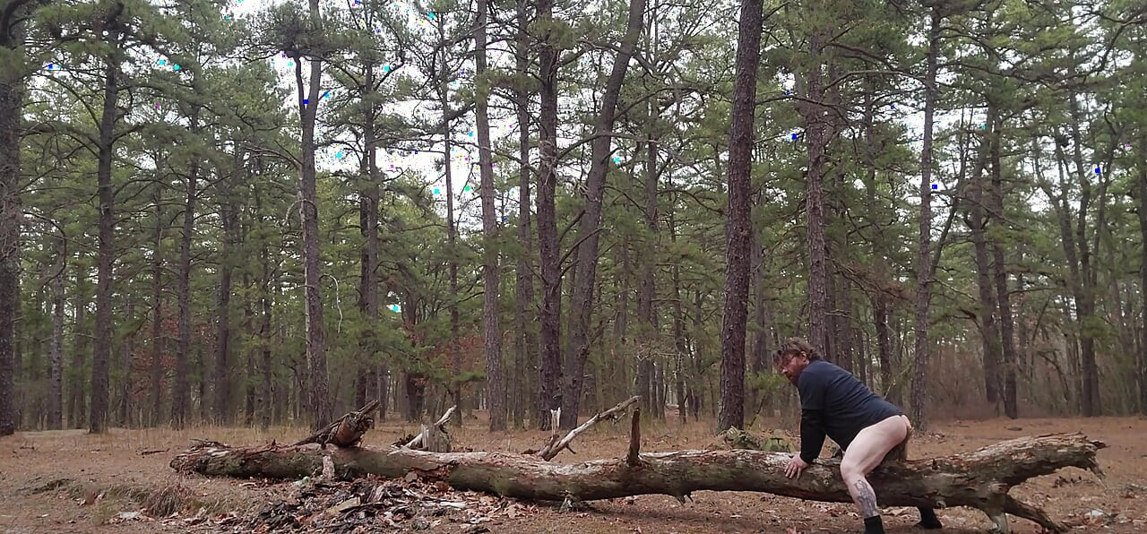 More of out in the woods