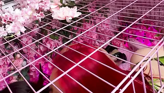 Pink room ep.33: si cewek nakal latina yang lagi sange berat zoey dan jessica suka banget sama kontol