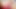 ANAL FABULOUS 🍑 4 College Beauties Ass Fucked & Plowed