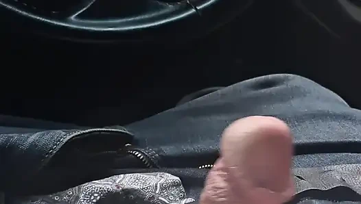 Zierlicher ebenholz-teen-blowjob im auto
