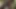 I Love Be Naked in the Forest and Masturbate