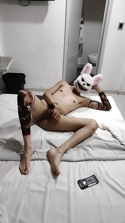 Peludo Travesso e brincalhão