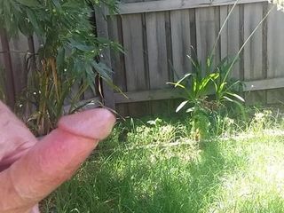 Hard on Outdoor pissing