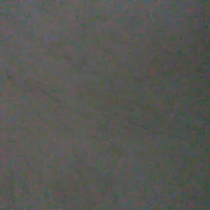 Naked Self-cummed on Transgal Playing with My Cumjuice