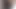 #HAMSTER I SHOWED YOU A SECRET OF MINE, PLEASE DON'T SEE IT  06
