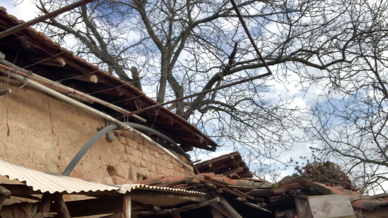 Dia perfeito para peitões