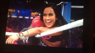 WWE Diva AJ Lee eerbetoon 01