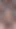 Sexy Babe is looking for someone to have sex with