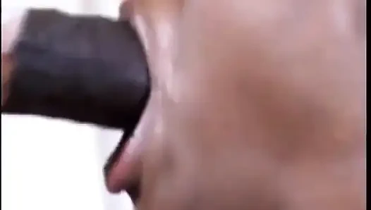 Cewek kulit hitam berlutut mengisap kontol hitam