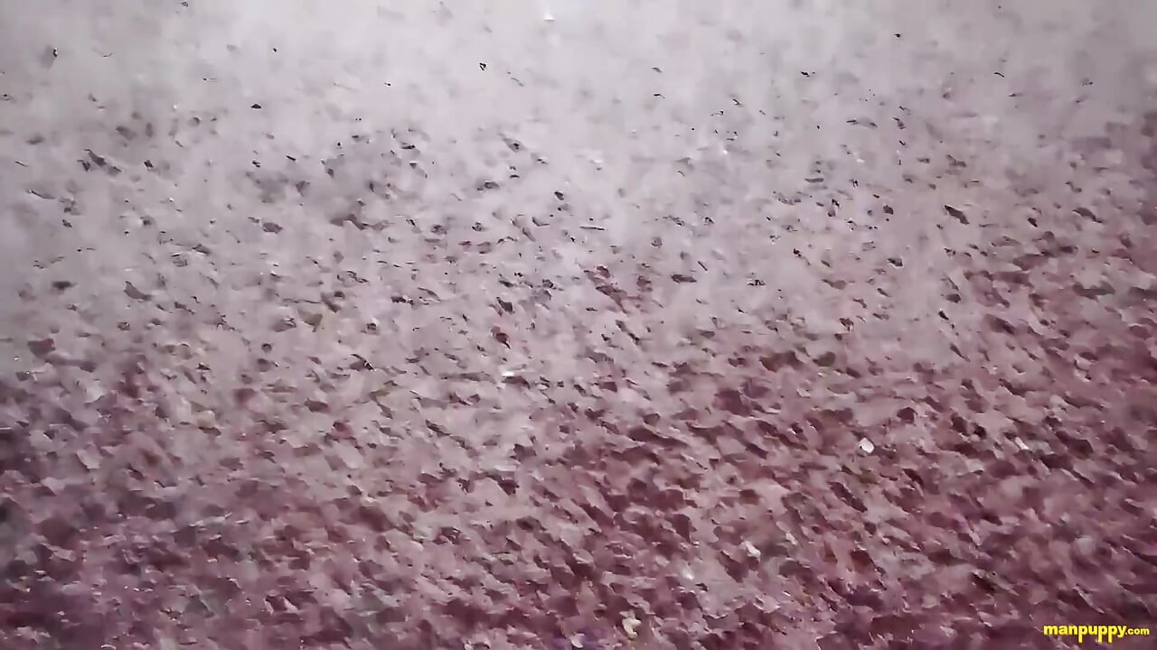 Ouple邀請你一起玩