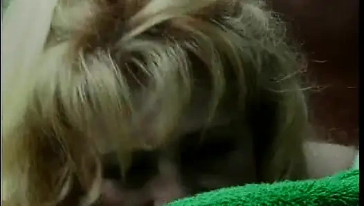 Tante seksi rambut pirang dientot habis-habisan di luar ruangan