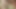 セクシーな十代は日立と誘惑