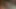Diverse amateur compilation with oral and penetrative sex