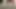 Rob Bee mastürbasyonu 1#