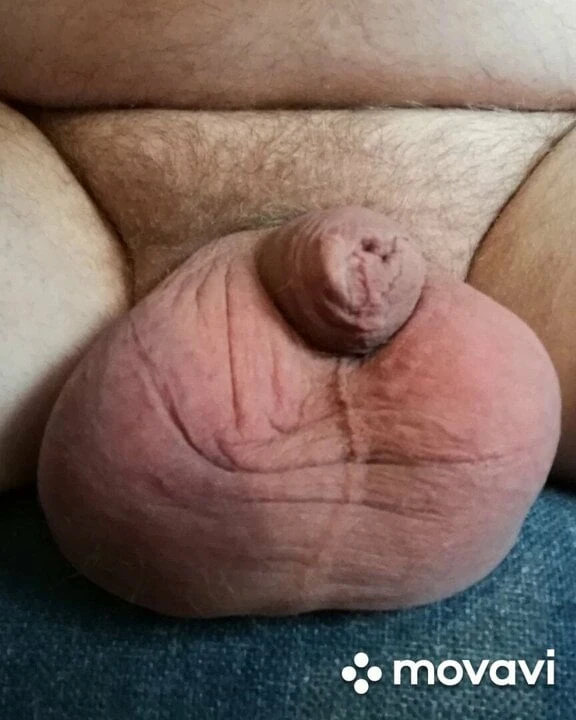 Large eggs