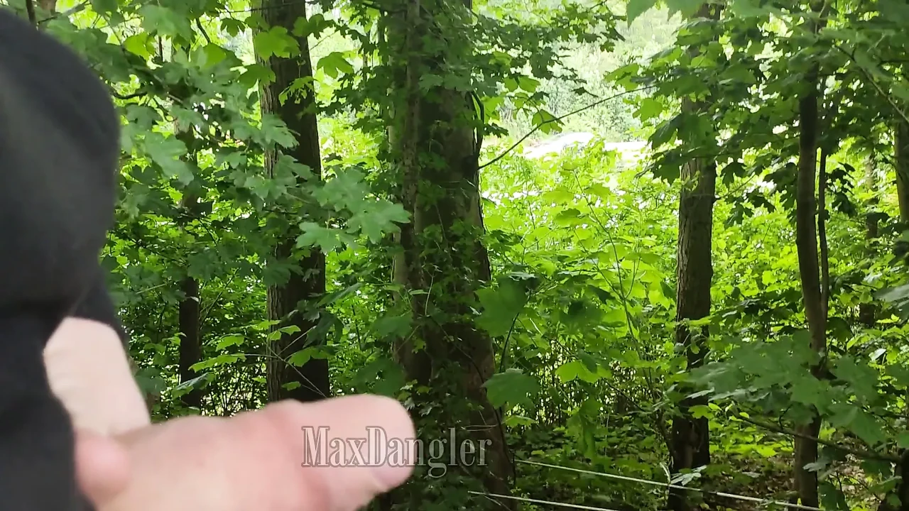 Wanking while cruising in a forest next to a highway, again