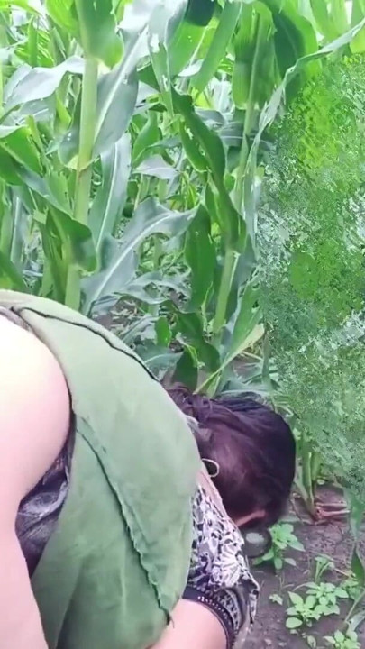 Indiana desi menina ao ar livre sexo com cunhado doogy | Clipe 1