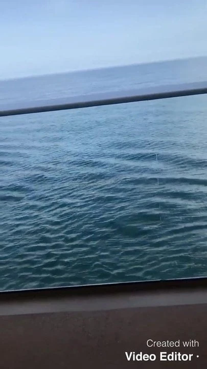 Cruise ship cumming