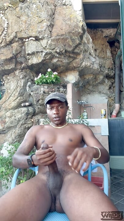 Enorme pau atira enorme carga