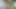 Handsfree Cumshot Orgasm by Anal Dildo Insertion in Male Anus