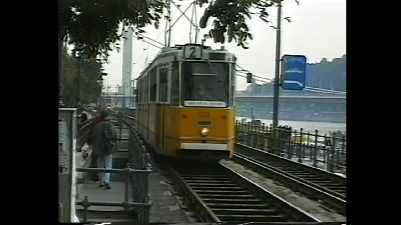 Divlja srca kucaju brzo