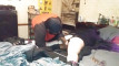 Pregled videozapisa