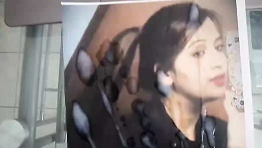 haraç hirra twinks