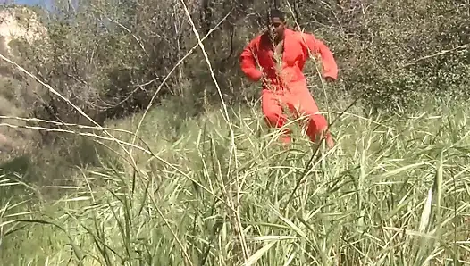 BBC Dirty MILFs Scene-1 Dirty Blonde MILF Maya Hills Enjoys Big Black Cock in Her Kitchen