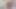 Latest Live Sex Show on Stripchat, Gigi and Dave, Shemale and Man Couple, POV, Behind the Scene, Webcam Sex, 17.04.2025 Ep1