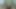 アジアの天使23309